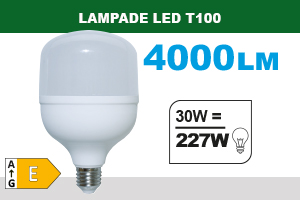 LAMPADA LED T100, E27, 30W